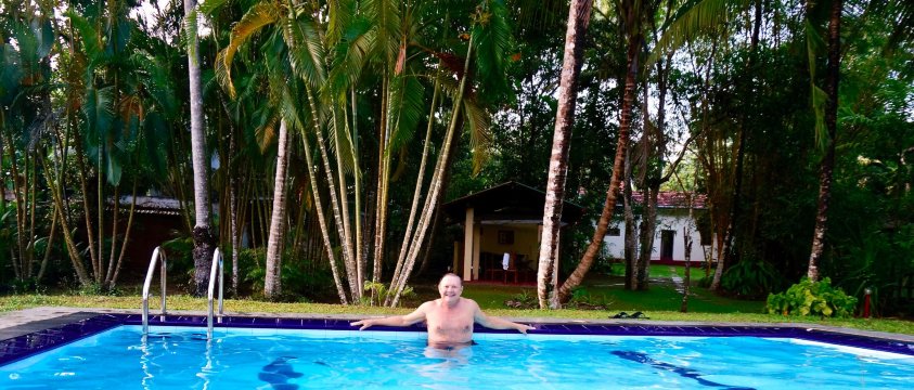 Chandra Villa Ayurveda Resort-泳池