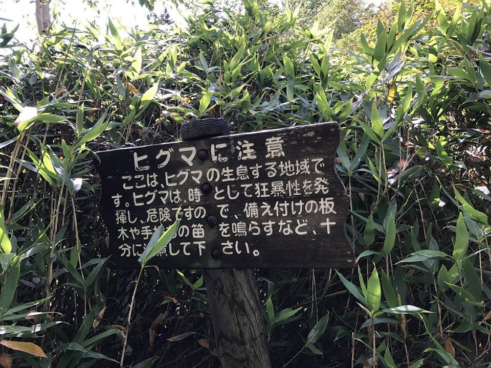 Daisetsu Kogen Swamp-上川町必去景点