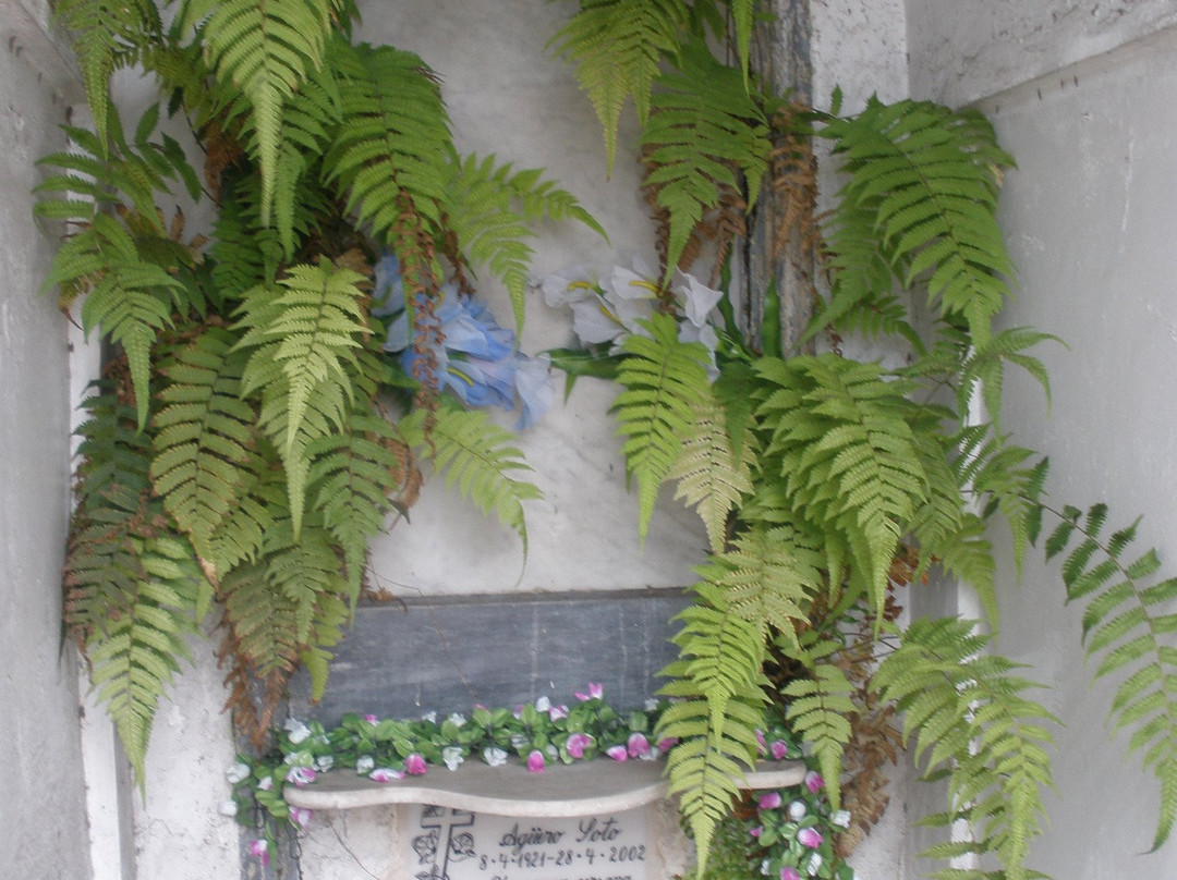 Cementerio General de San José景点图片