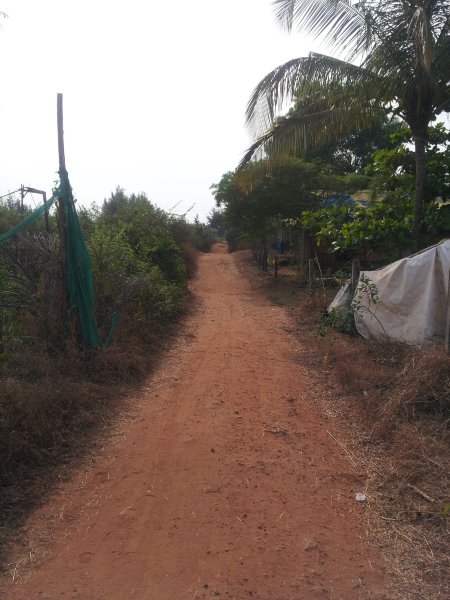 瓦恩西亚海滩度假村-泳池