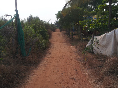 瓦恩西亚海滩度假村主图