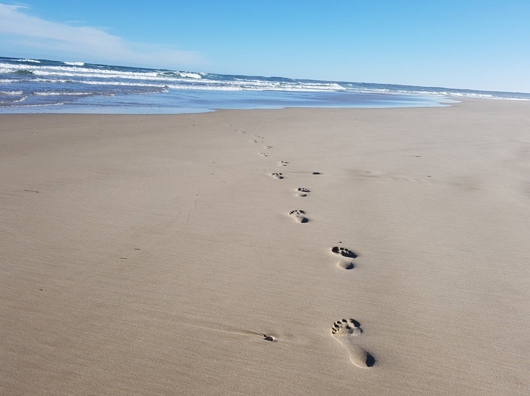 Gaestehaus Saxonia主图