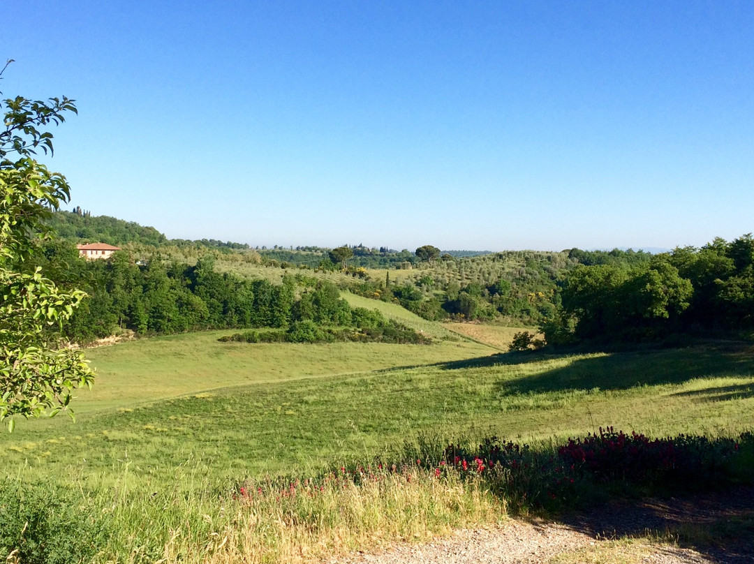 Azienda Agraria San Gregorio景点图片