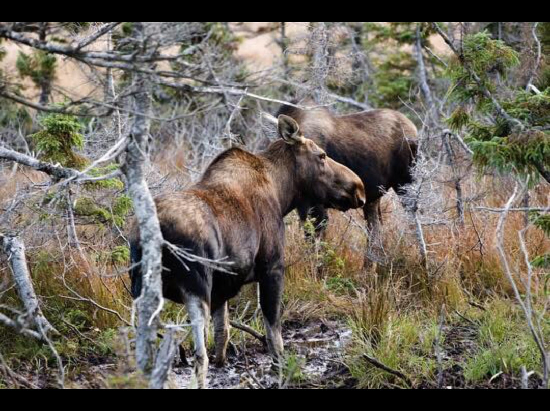 The Poplar B&B主图