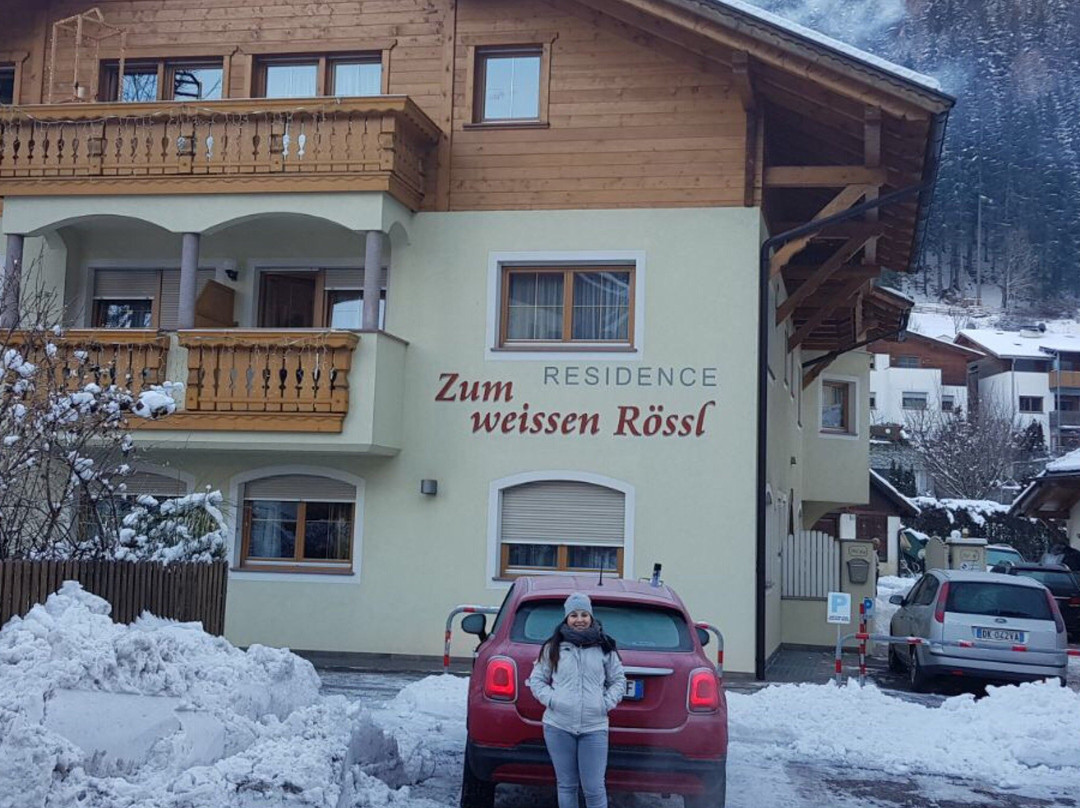 Albergo Hotel Al Cavallino Bianco主图