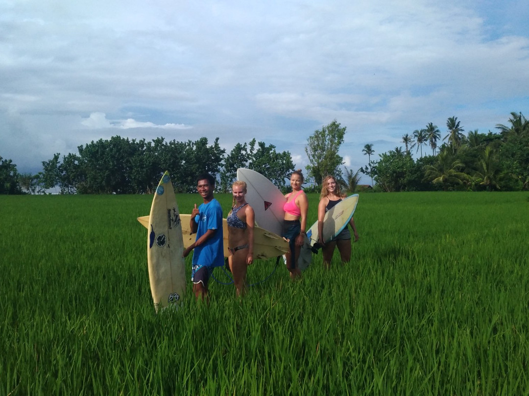 Ayolah Surfing-Medewi必去景点
