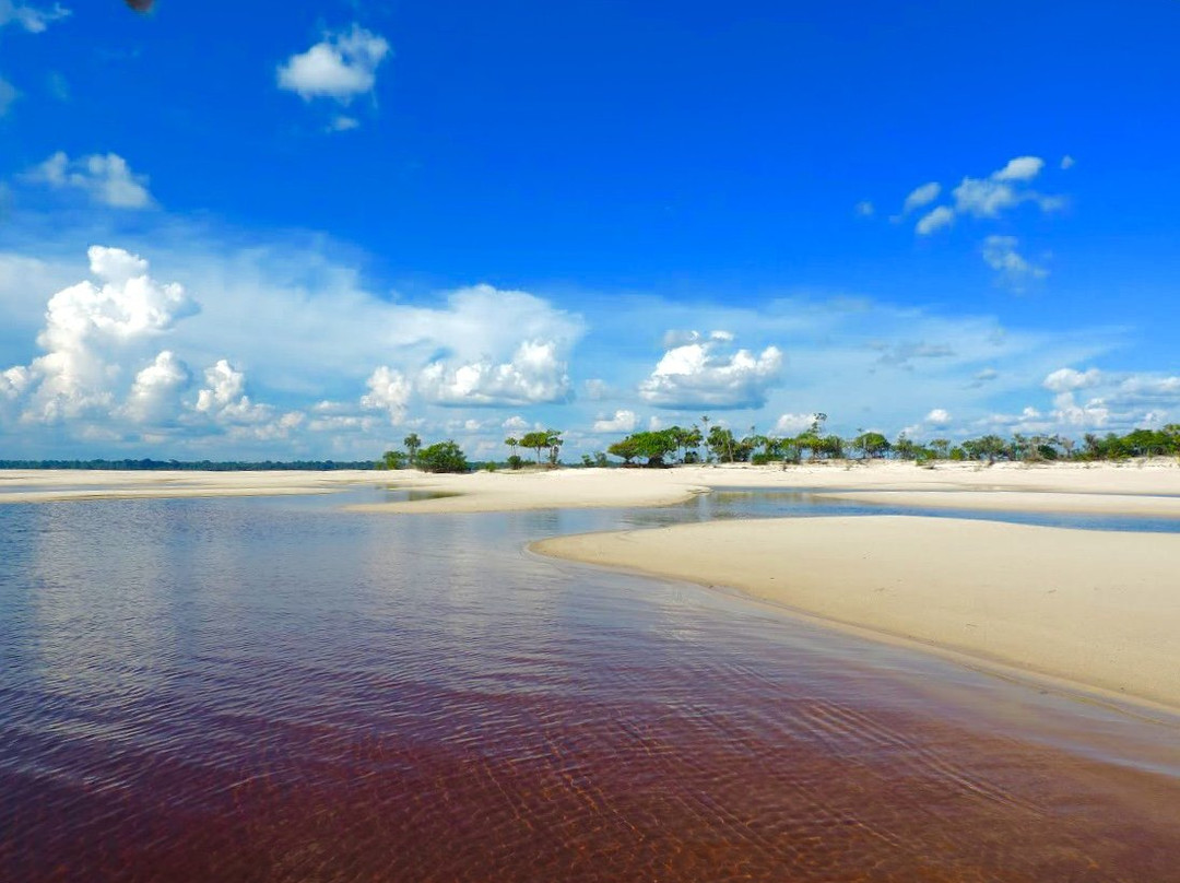 Parque Nacional do Jaú-Novo Airao必去景点