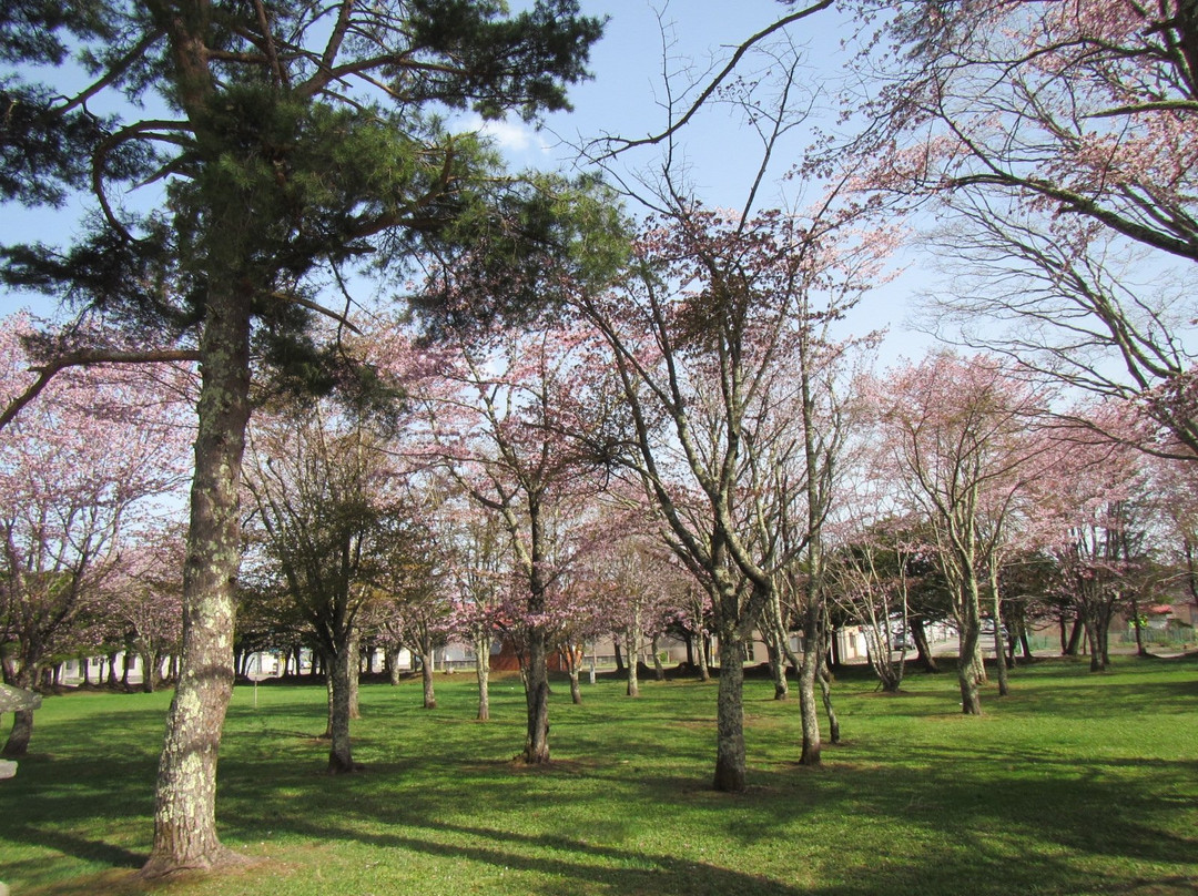 Tokachi Shrine-广尾町必去景点