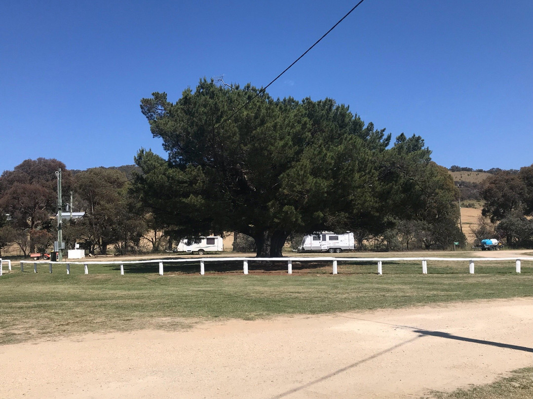 Bungendore Showground