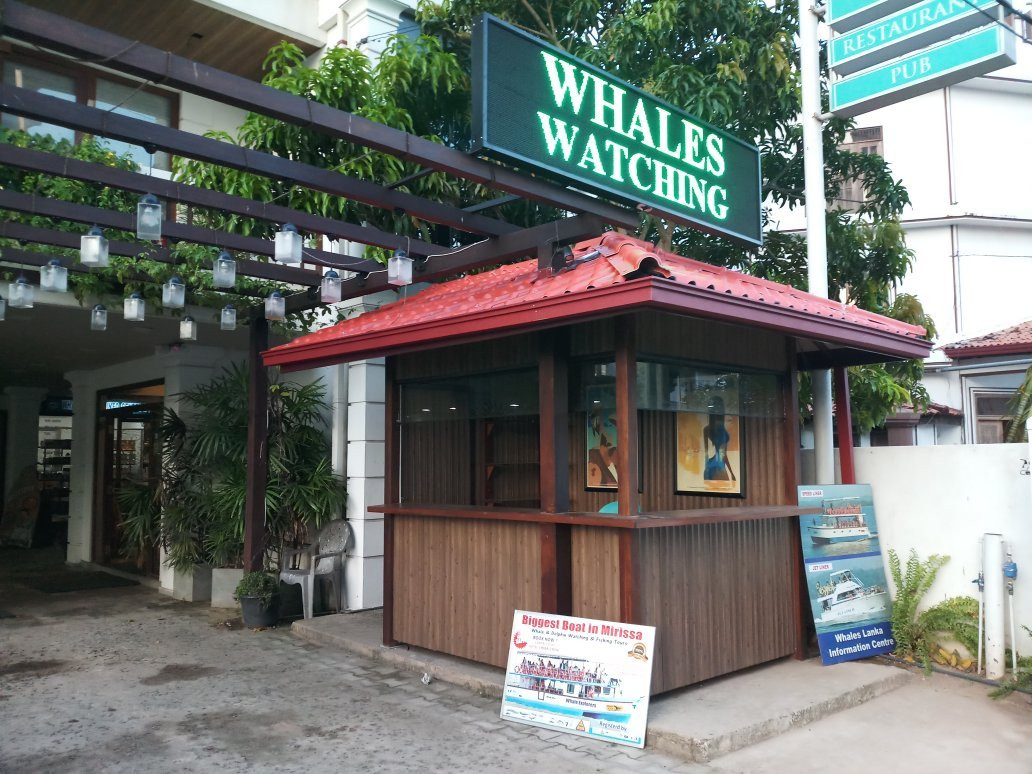Whales Lanka景点图片