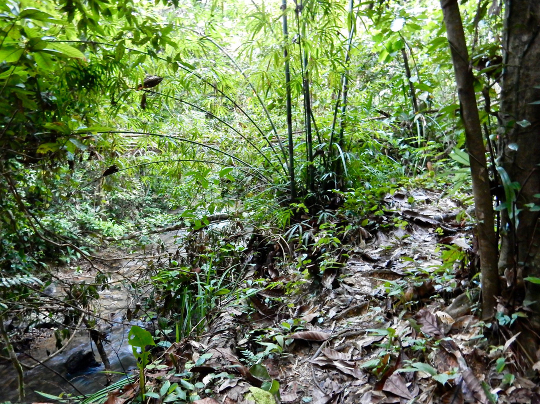 Raman Waterfall Forest Park景点图片