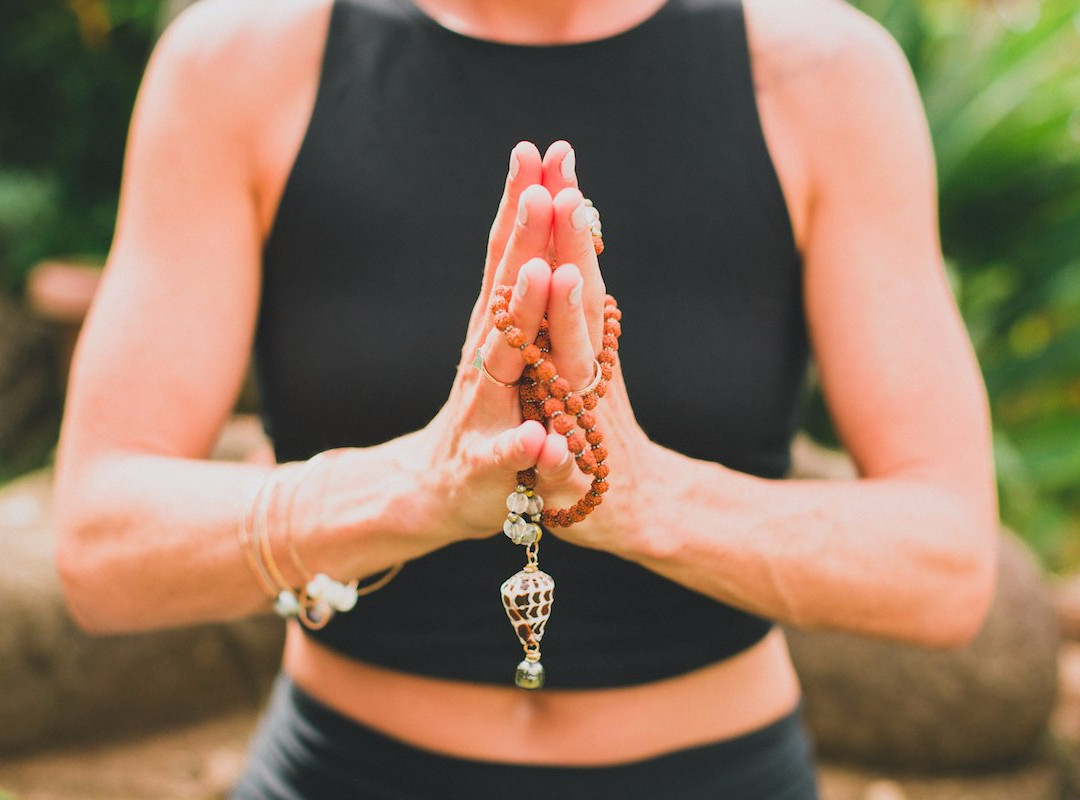 Rooted Flight-海库必去景点