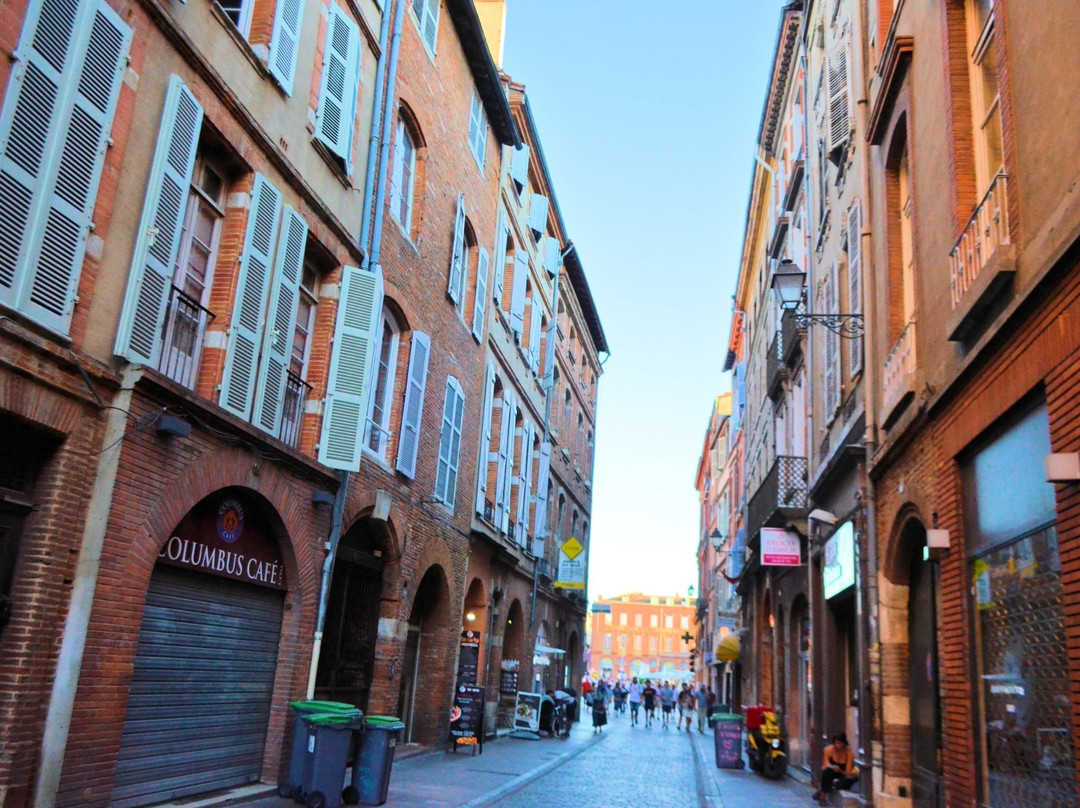Rue Saint Rome景点图片