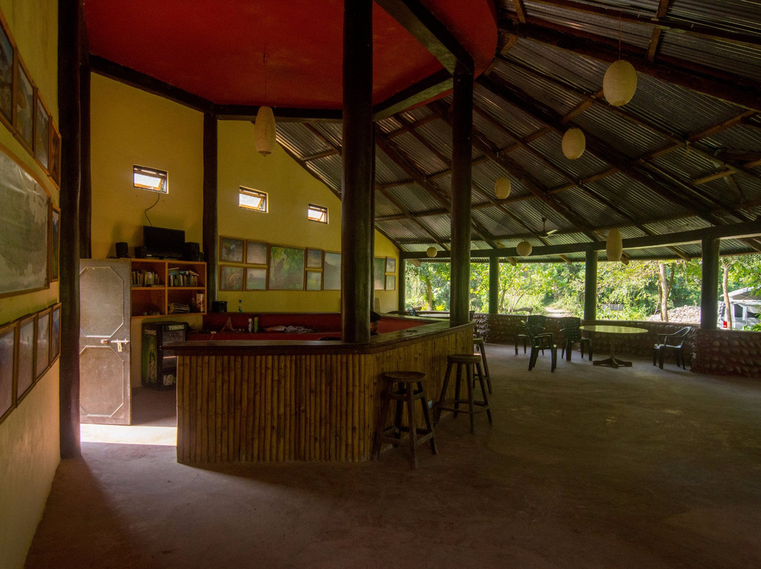 Wild Trak Lodge