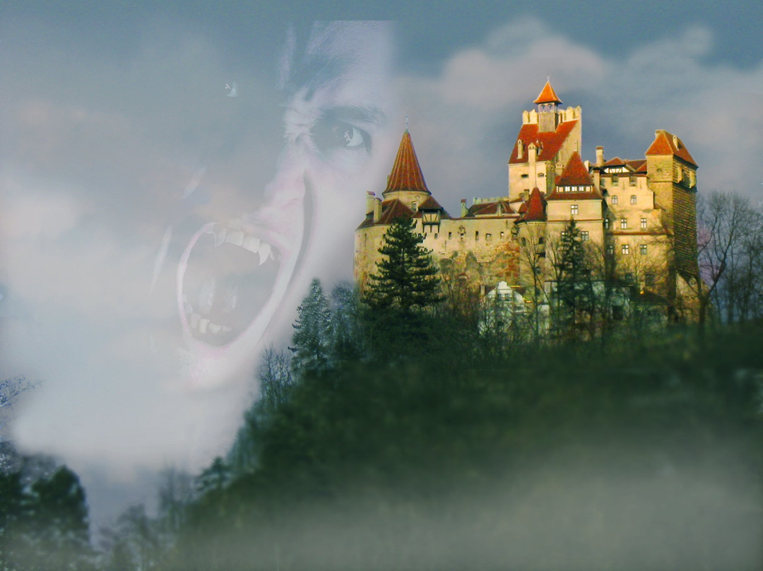 Transylvania Live Dracula & Halloween Tours景点图片