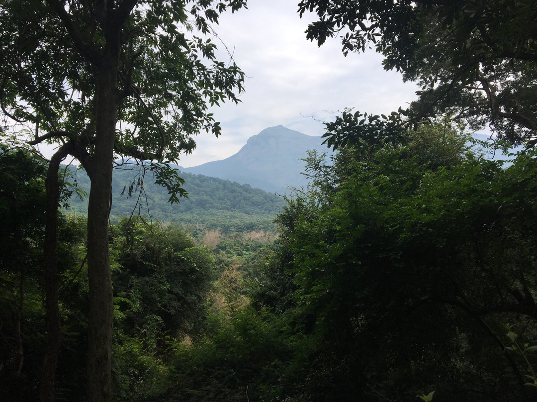 Kovai Kuttralam景点图片