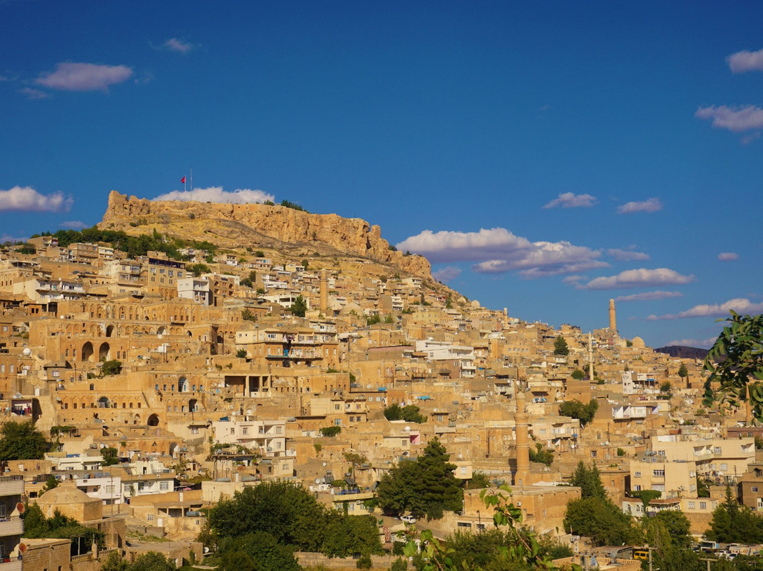 Mardin Castle景点图片