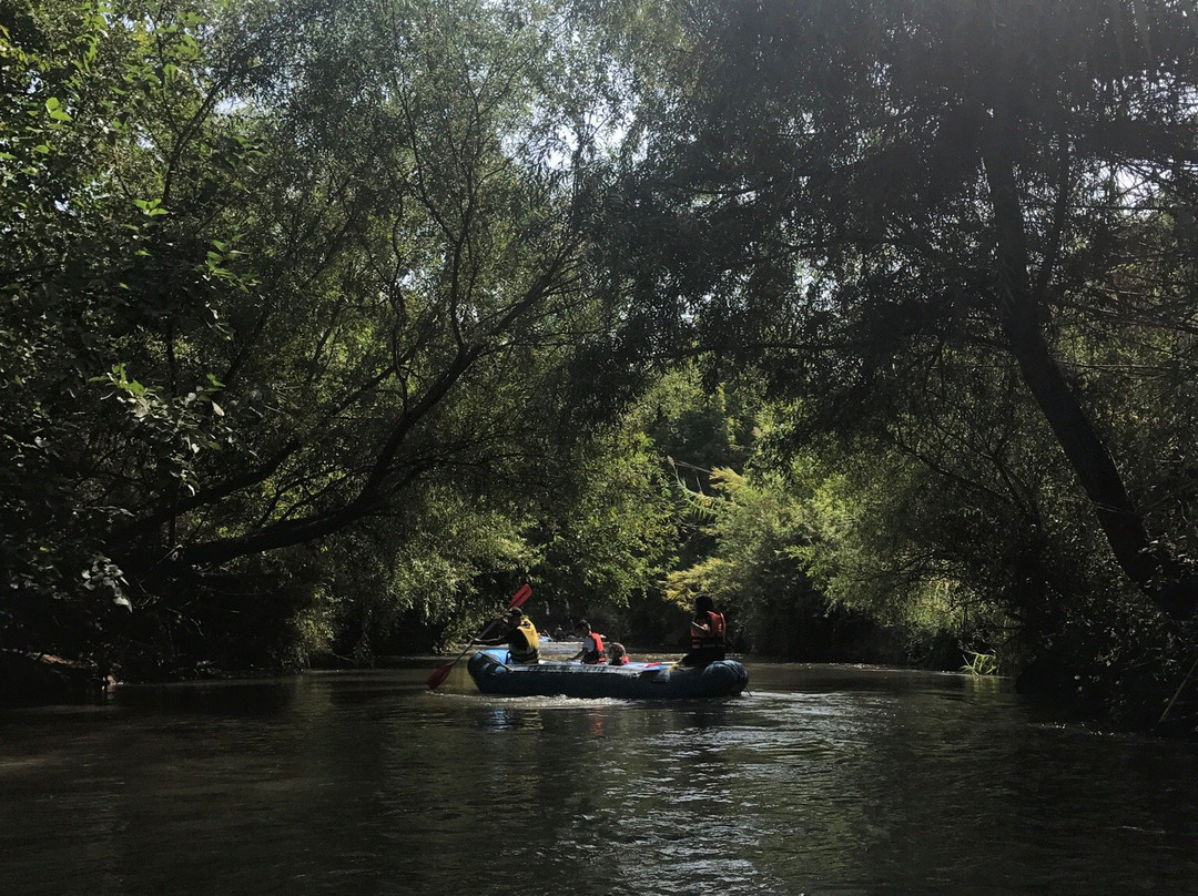 Kfar Blum Kayaks-Kfar Blum必去景点