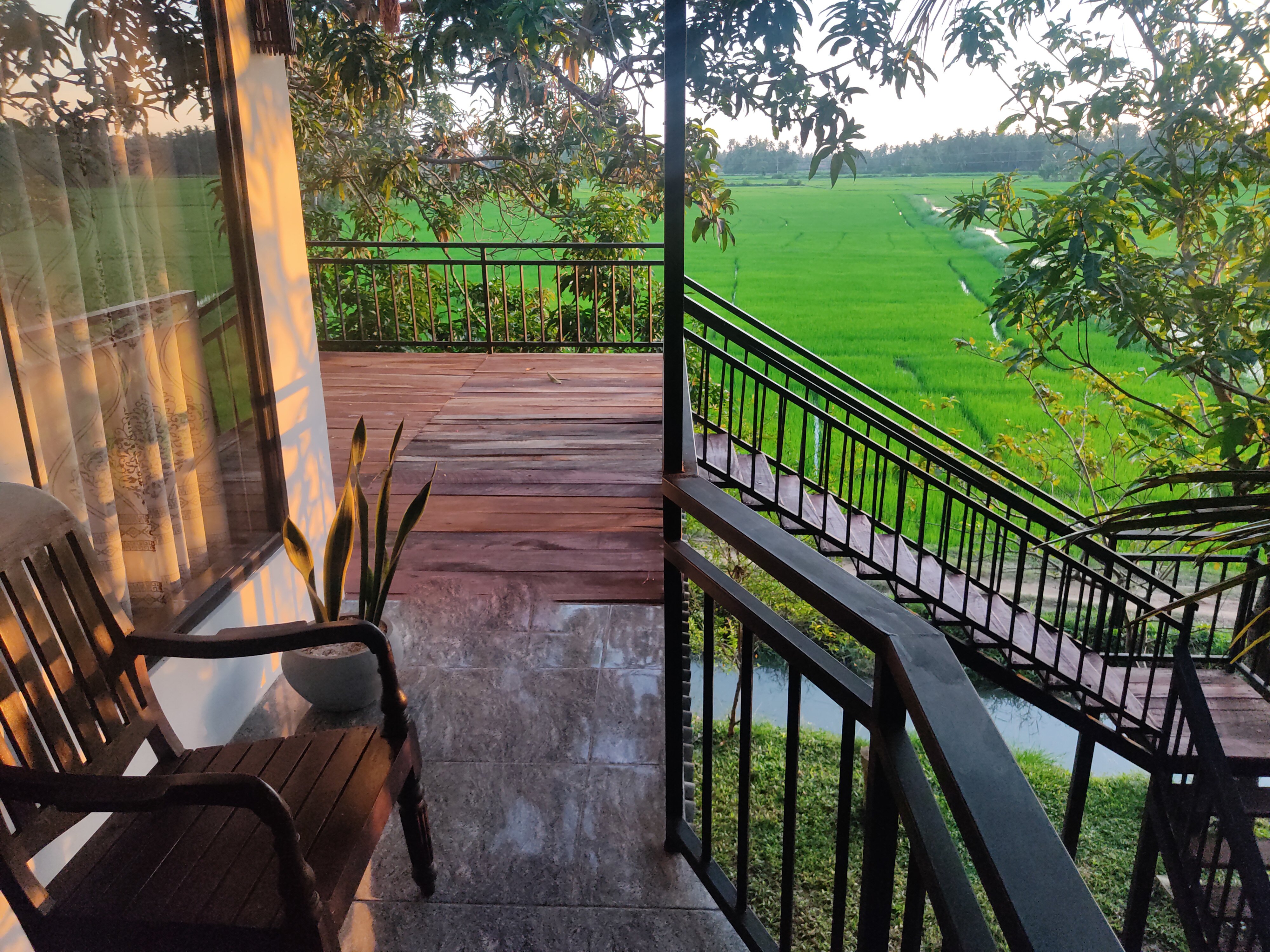 Village Mango Resort & Yala safari-酒店景观