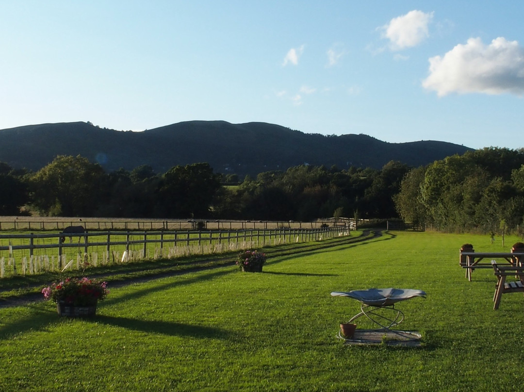 Rosebud Meadow
