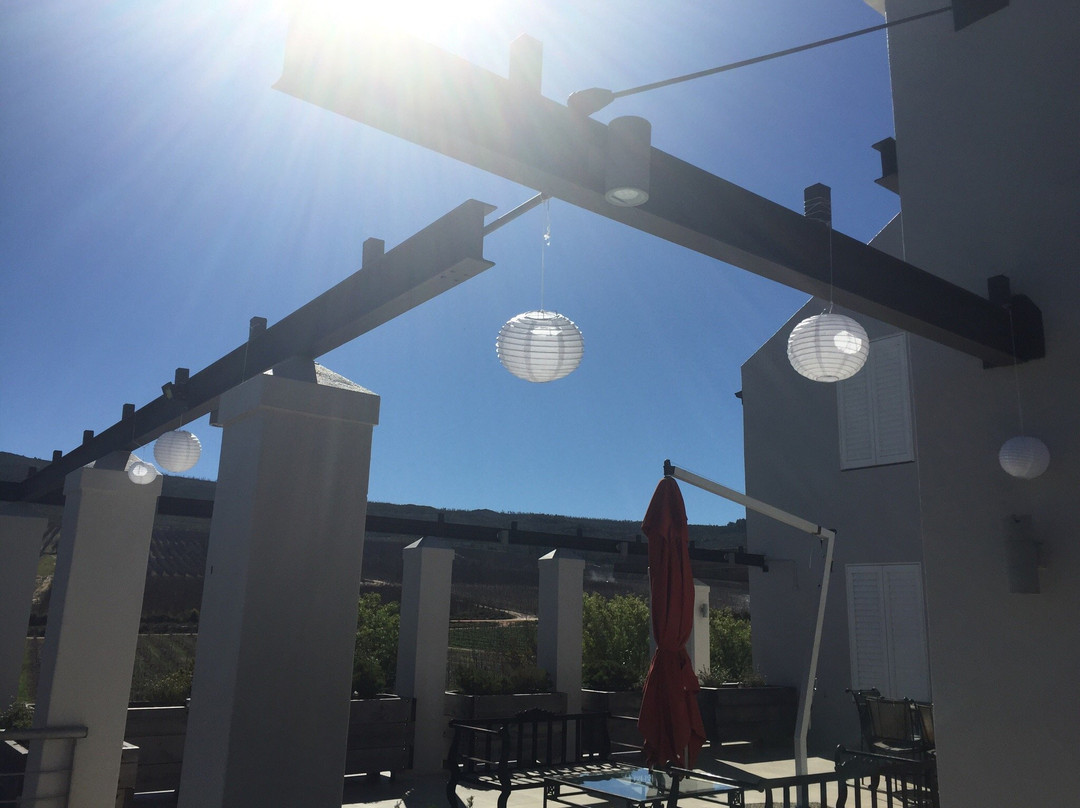 South Hill Vineyards - Elgin Western Cape-Elgin必去景点