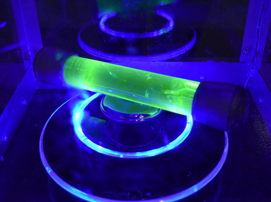 Xcape Adventures-梅斯基特必去景点