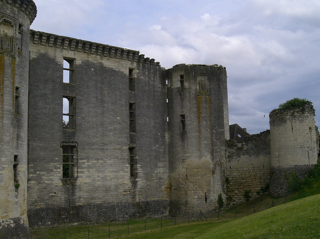Château de La Ferté-Milon景点图片