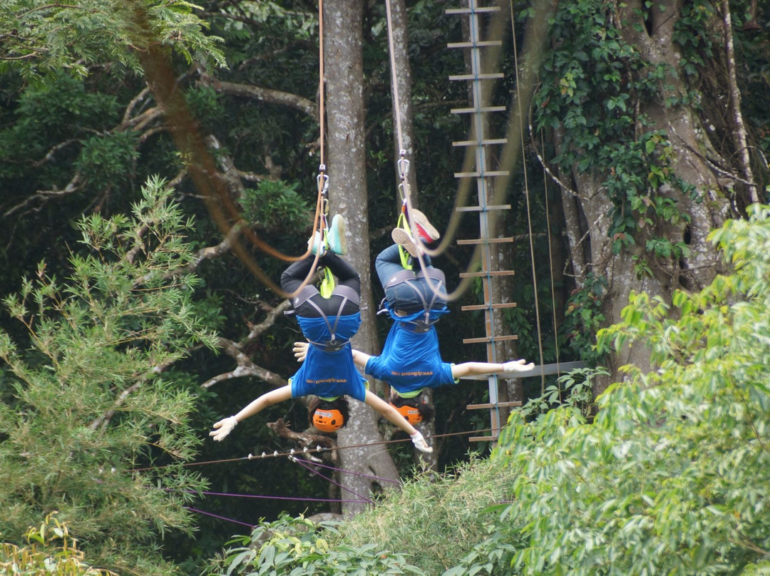 Ziplinemax