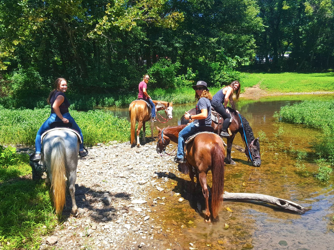 Hurricane Creek Stables, LLC景点图片