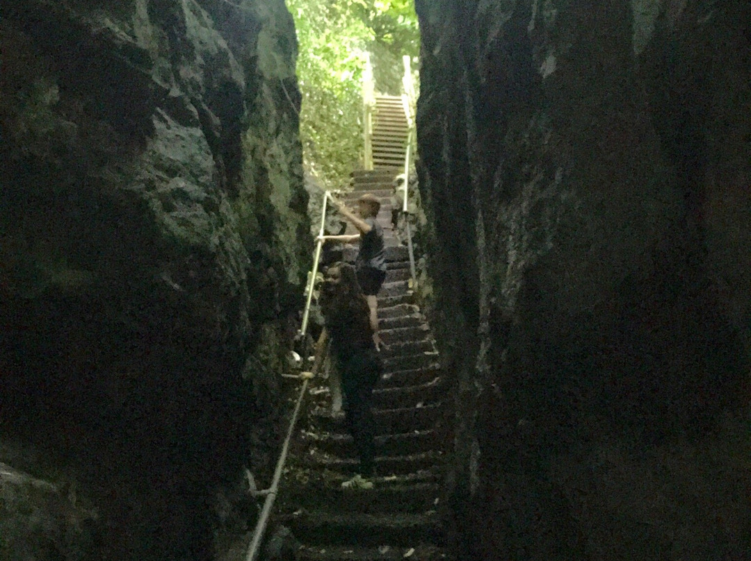 Bonchurch Landslip-Bonchurch必去景点