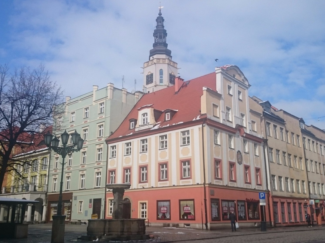 Town Hall, Swidnica (Ratusz w Swidnicy)-Swidnica必去景点