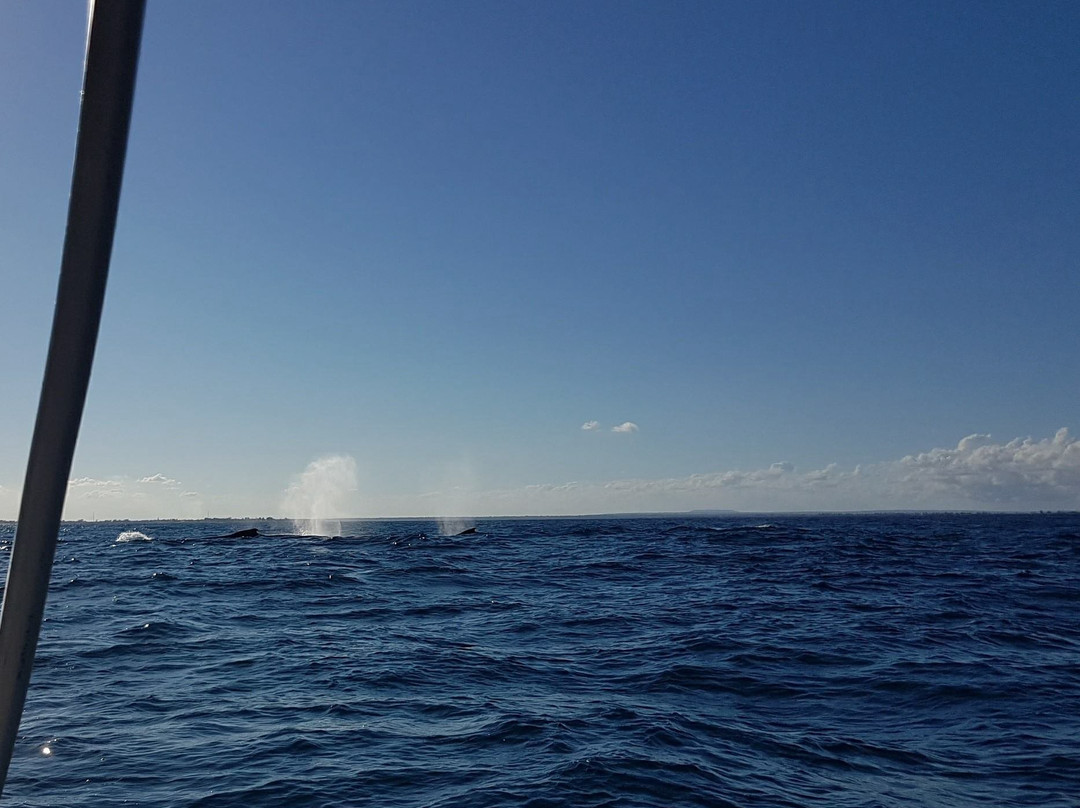 Moz Adventures, Lda-Nacala必去景点