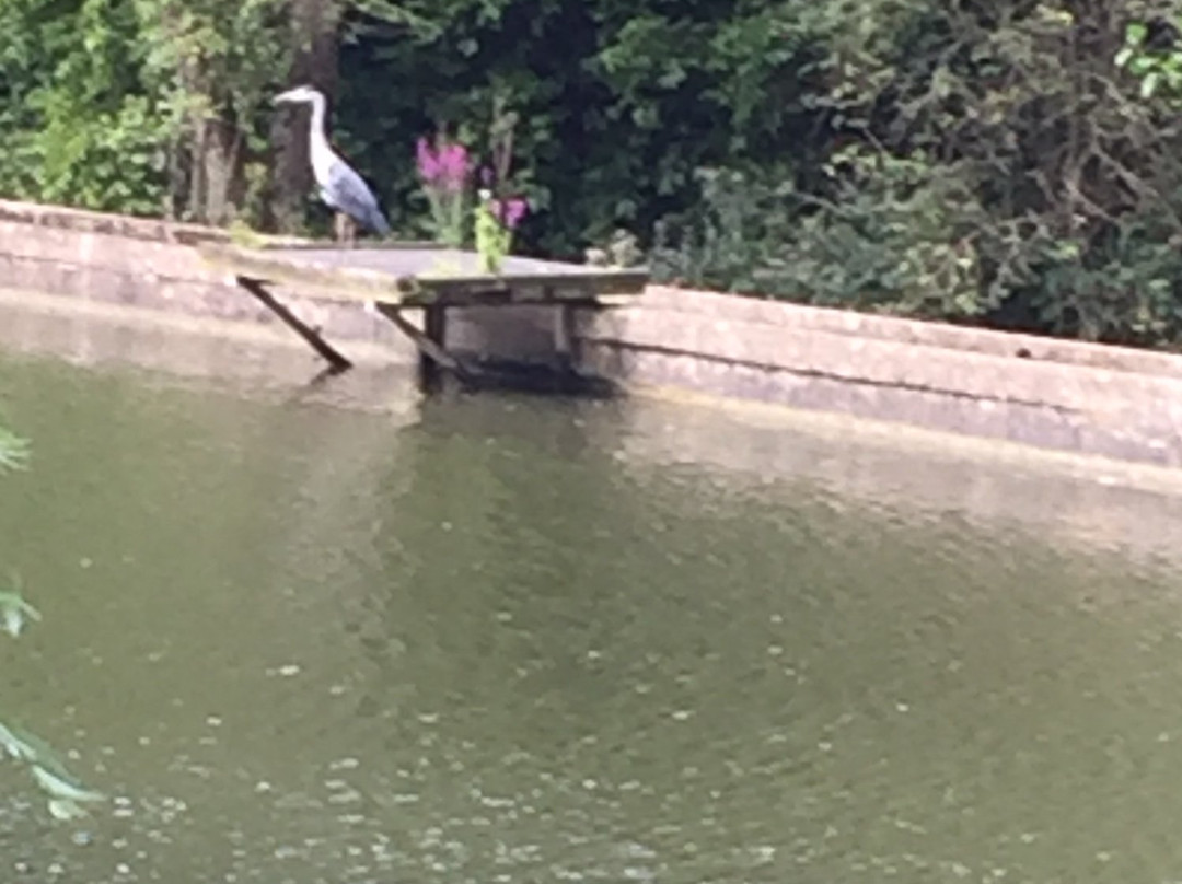 Stroud Park-斯特劳德必去景点