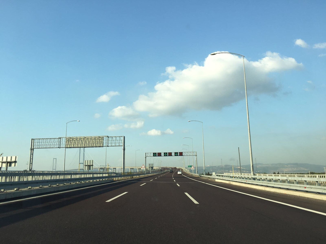 Altinova旅游攻略图片