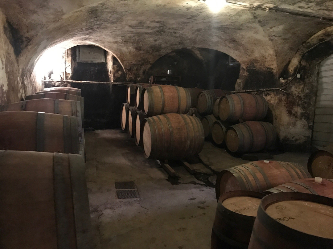 Tenuta di Valgiano景点图片