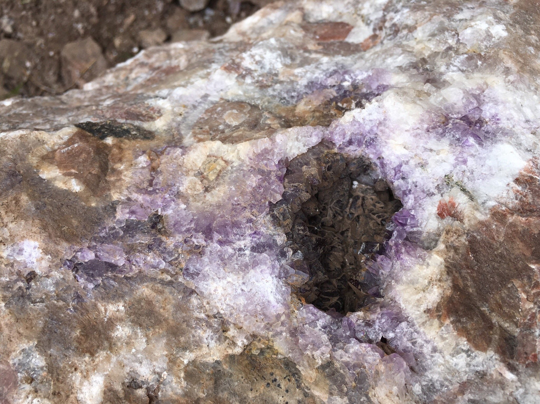 Diamond Willow Amethyst Mine-Shuniah必去景点