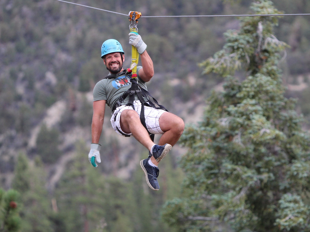 Action Zipline Tours-大熊湖必去景点