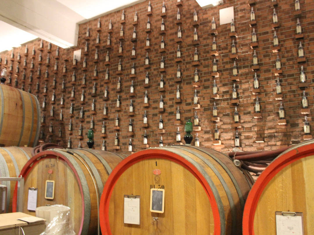 Azienda Agricola Rivetto景点图片