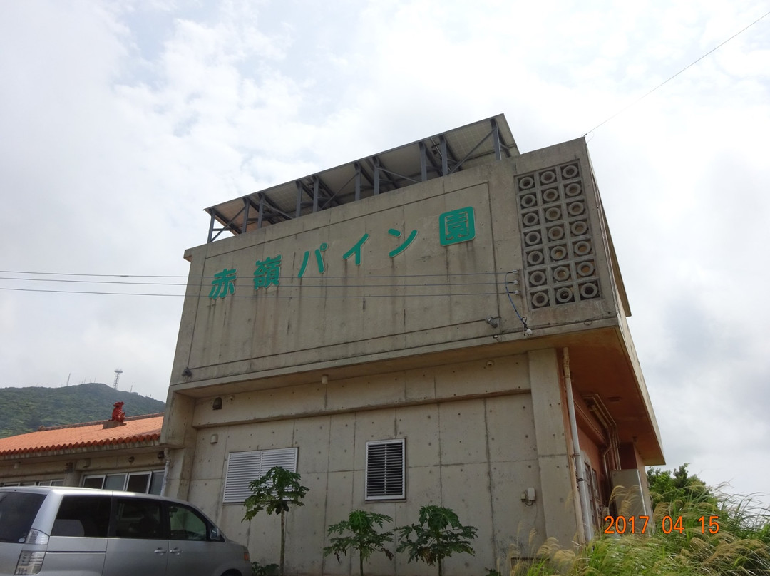 Akamine Pineapple Garden景点图片