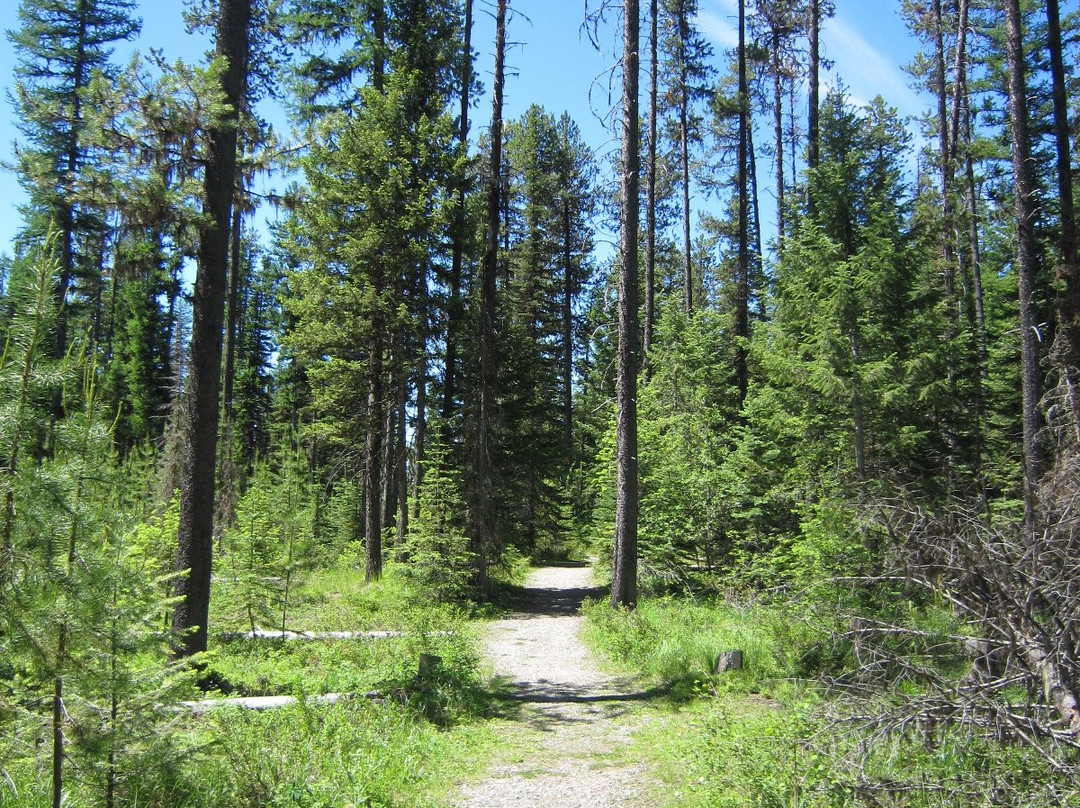 Jewel Lake Provincial Park景点图片