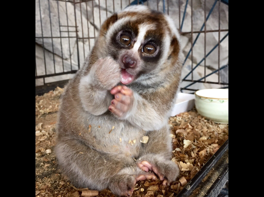Jambo Exotic Park & Restaurant-Dzoraghbyur必去景点