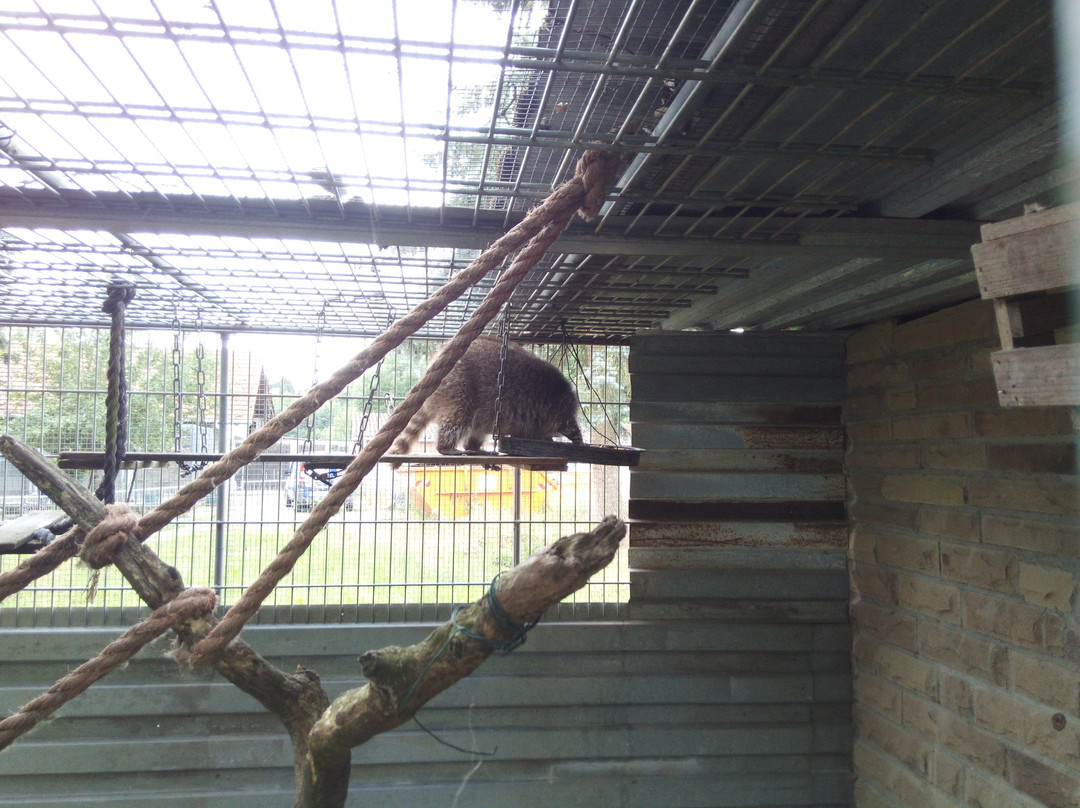 Tierpark Rauenberg景点图片