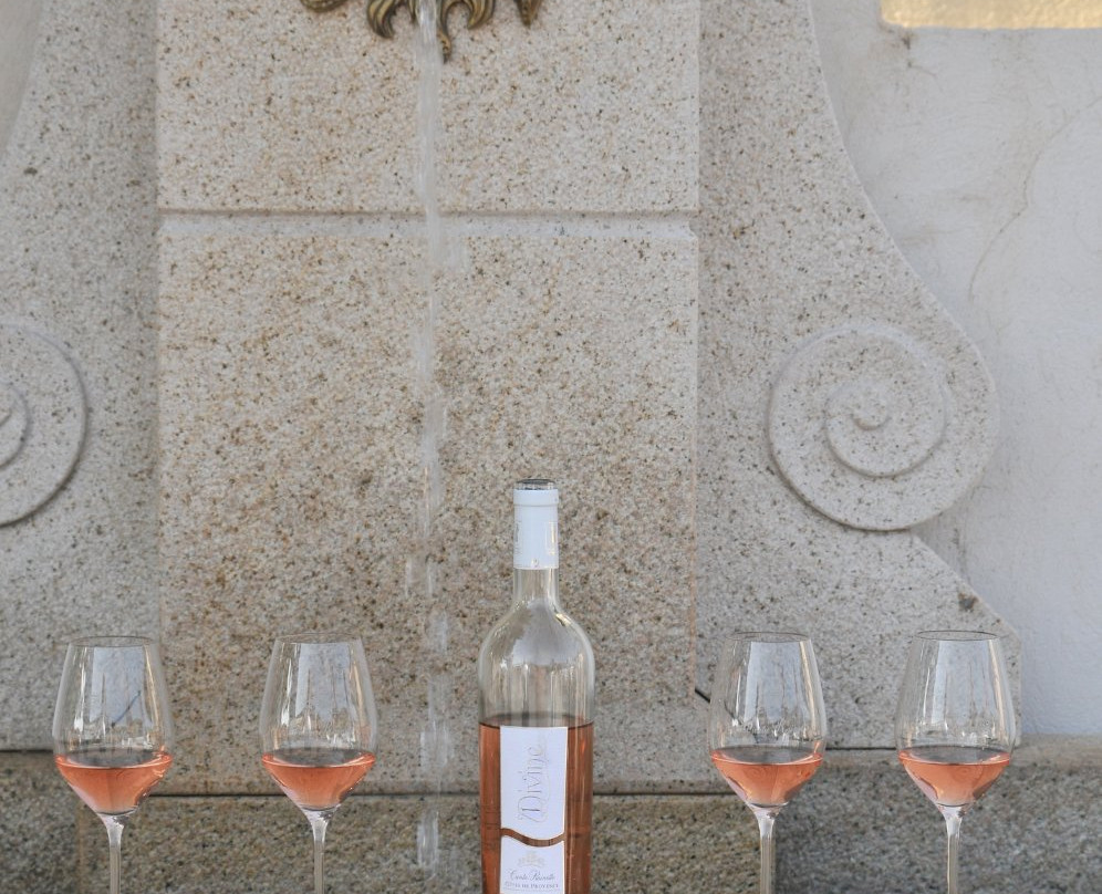 Domaine De Canta Rainette-La Motte必去景点