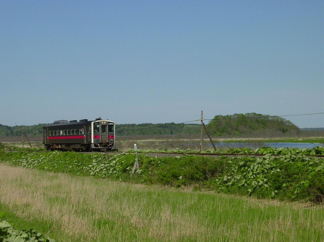 Bekkanbeushi Wetland-厚岸町必去景点