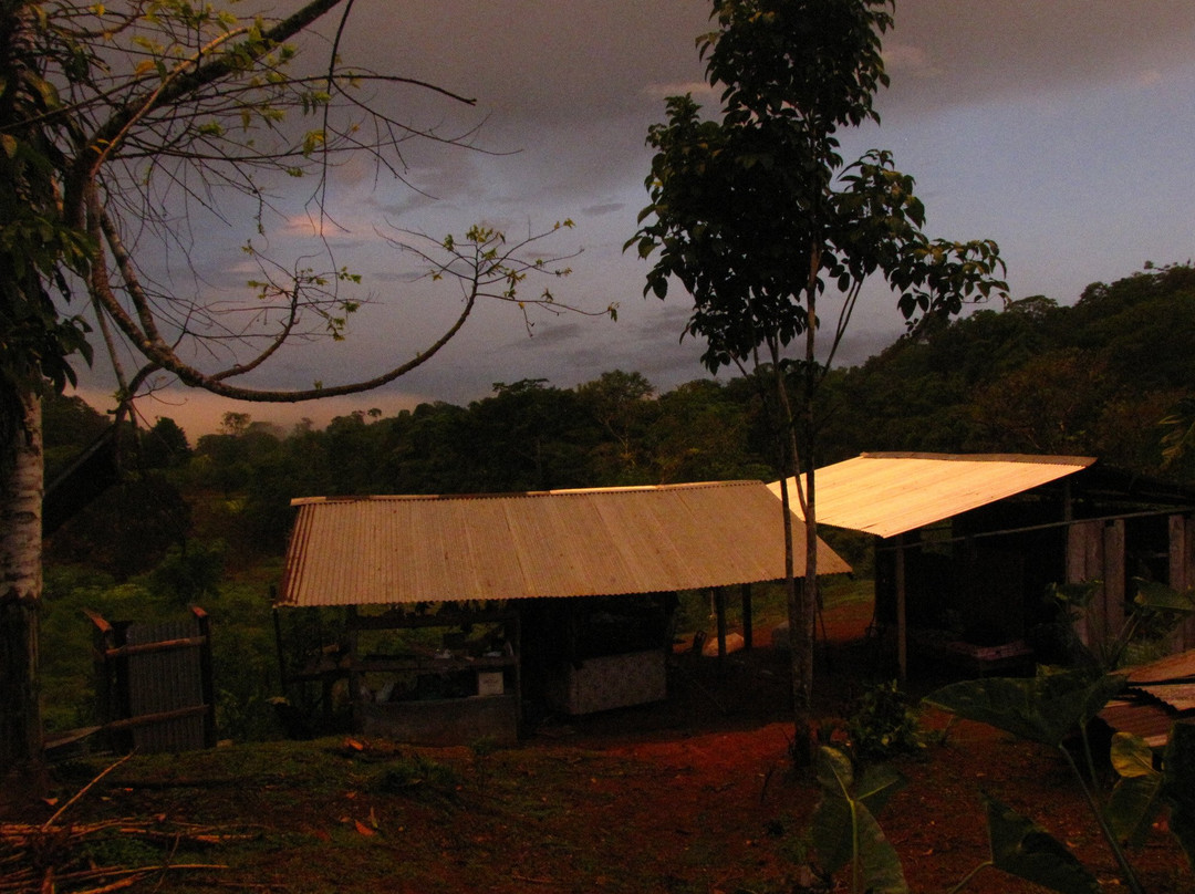 Finca Morpho景点图片