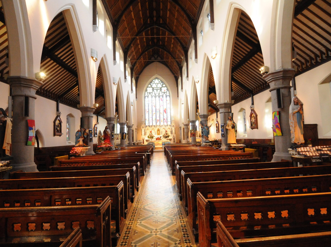 The Twin Churches: Church of the Assumption and Church of the Immaculate Conception-韦克斯福德必去景点