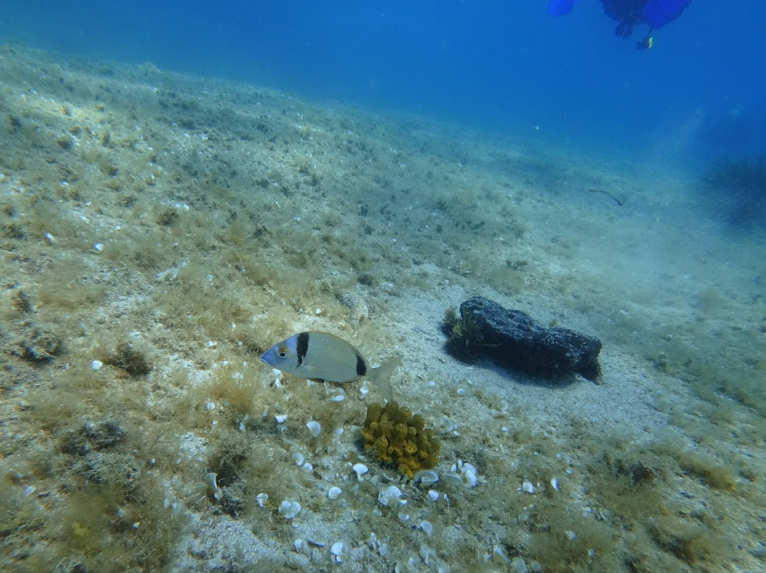 Cesme Dive-切什梅必去景点