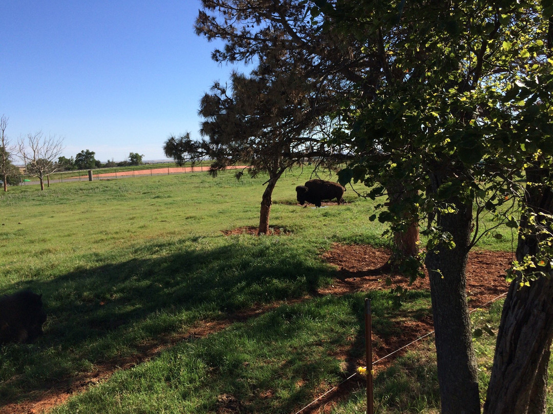 Cherokee Trading Post-Clinton必去景点