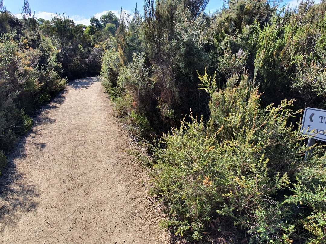 Cliffs Lookout Point