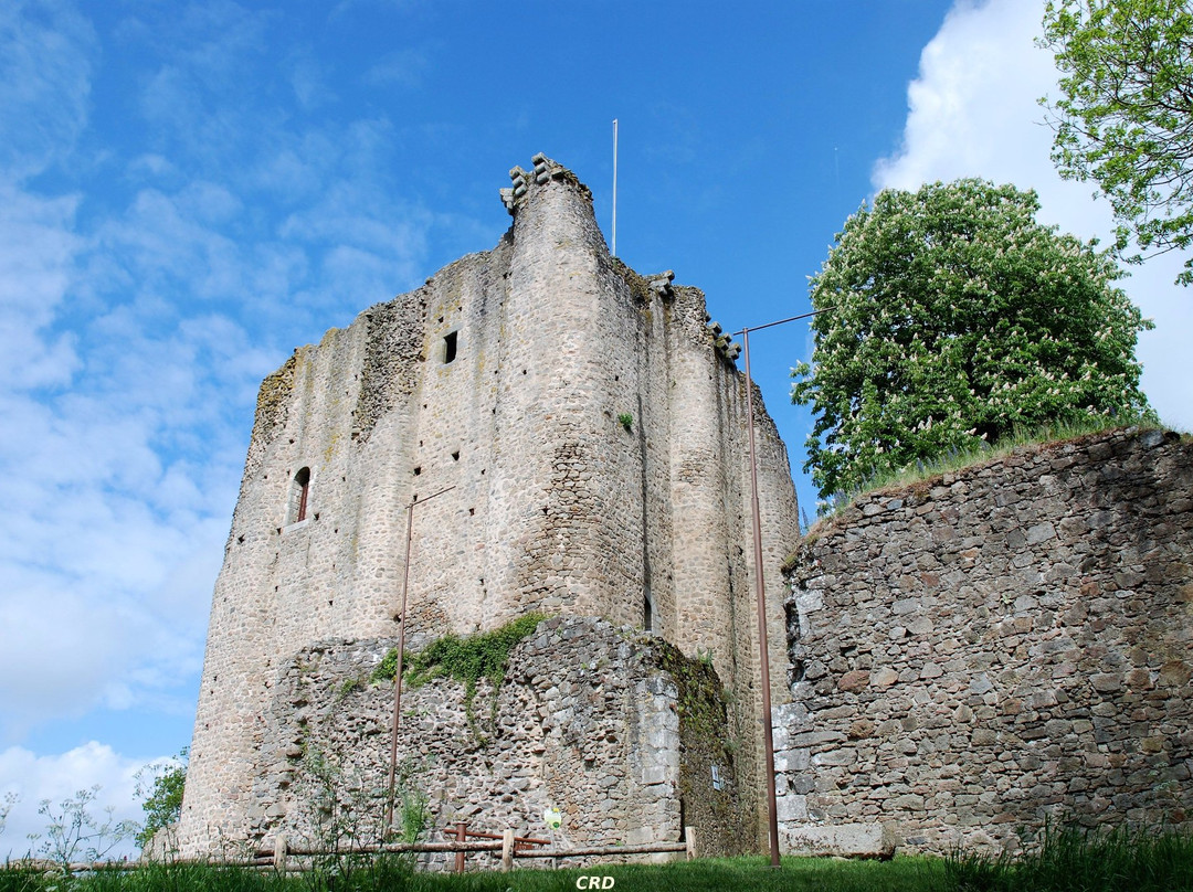 Chateau de Pouzauges景点图片